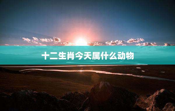 十二生肖今天属什么动物