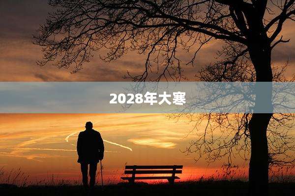 2028年大寒