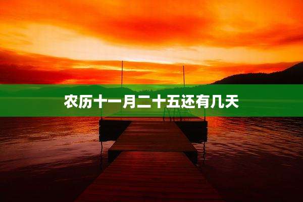 农历十一月二十五还有几天