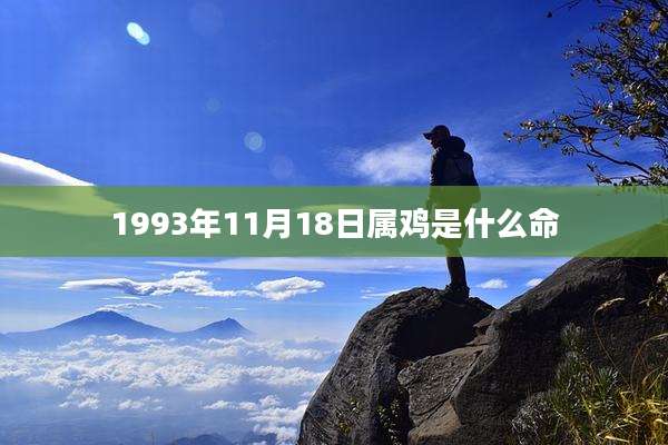 1993年11月18日属鸡是什么命