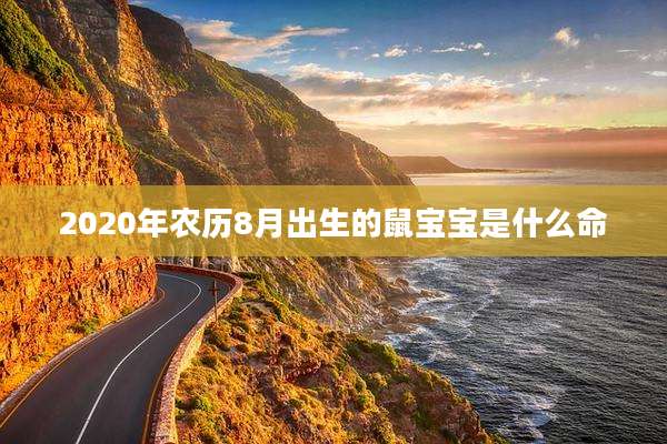 2020年农历8月出生的鼠宝宝是什么命