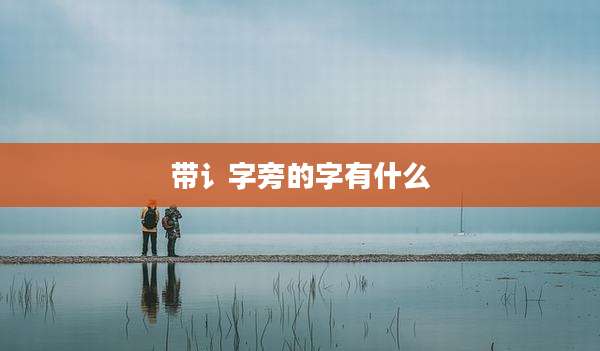 带讠字旁的字有什么