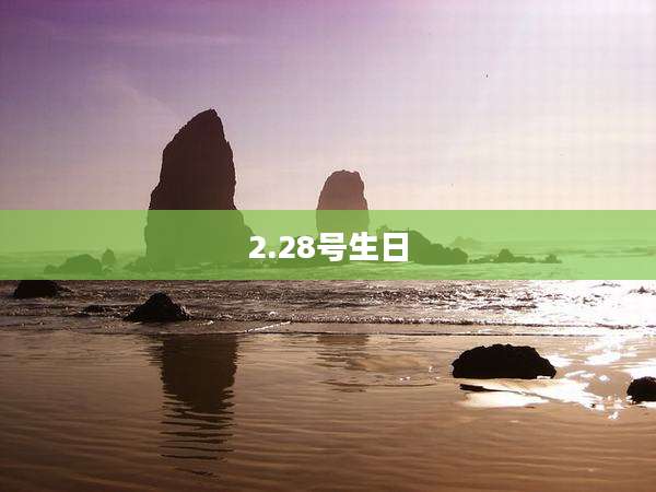 2.28号生日
