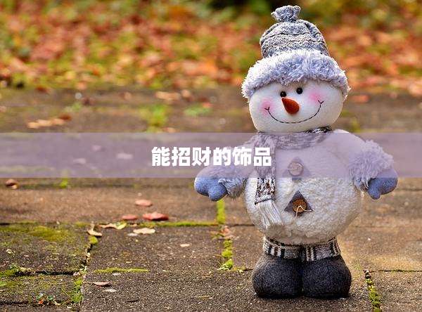 能招财的饰品