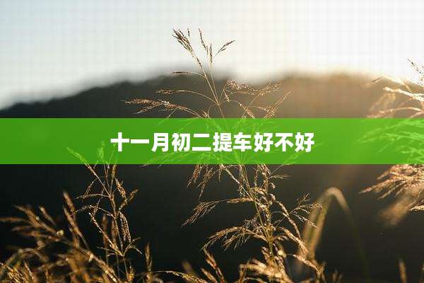 十一月初二提车好不好