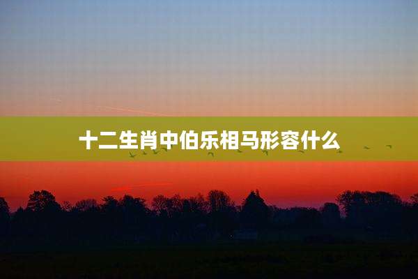 十二生肖中伯乐相马形容什么