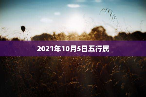 2021年10月5日五行属