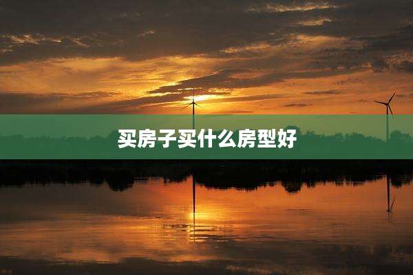 买房子买什么房型好