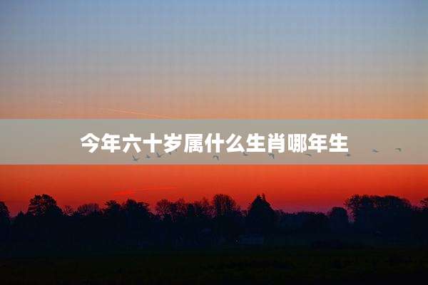 今年六十岁属什么生肖哪年生