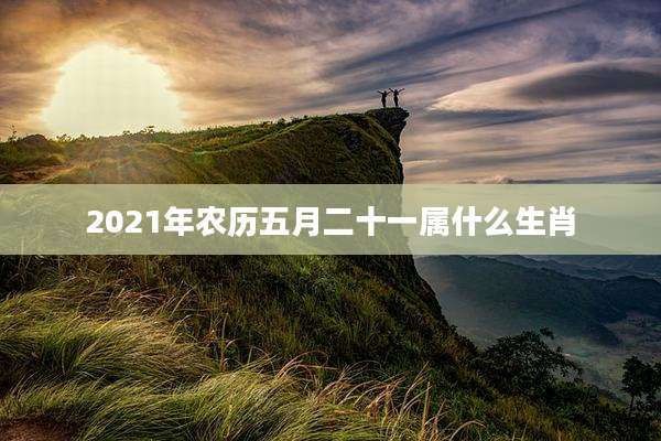 2021年农历五月二十一属什么生肖