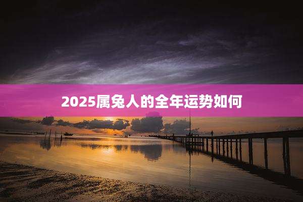 2025属兔人的全年运势如何