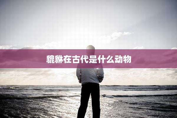 貔貅在古代是什么动物