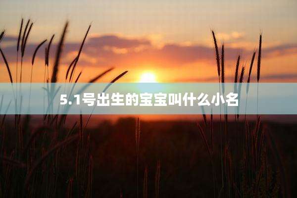 5.1号出生的宝宝叫什么小名