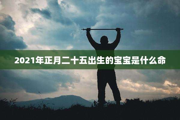 2021年正月二十五出生的宝宝是什么命