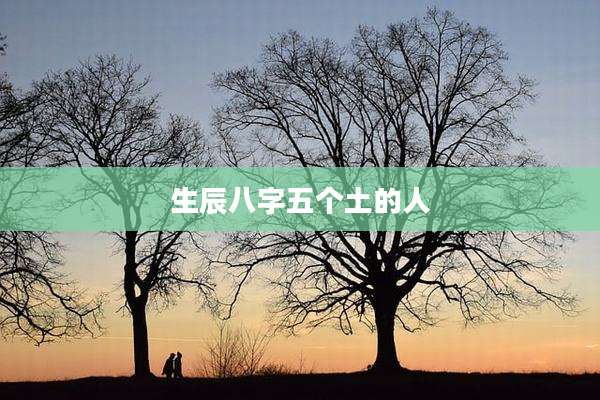 生辰八字五个土的人