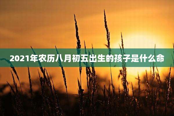2021年农历八月初五出生的孩子是什么命