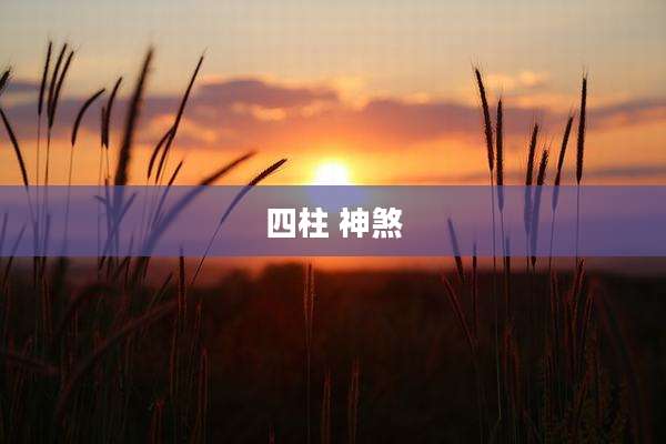 四柱 神煞