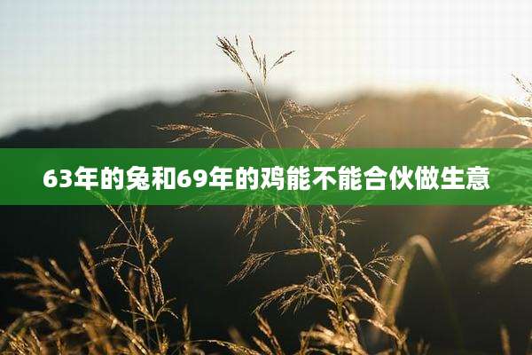 63年的兔和69年的鸡能不能合伙做生意