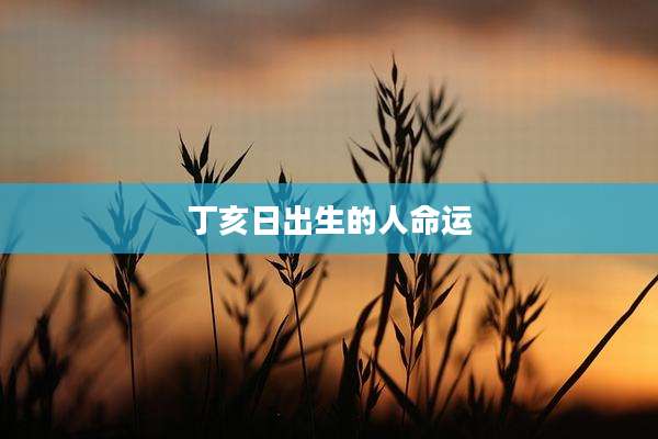 丁亥日出生的人命运