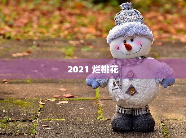 2021 烂桃花