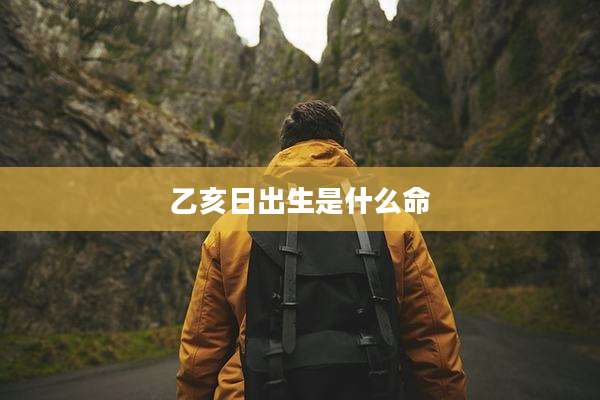 乙亥日出生是什么命