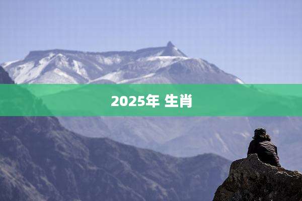 2025年 生肖