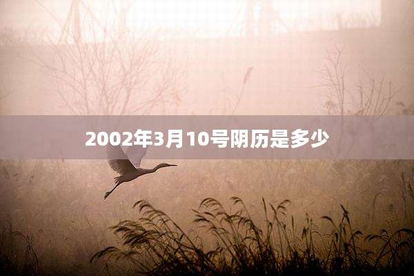 2002年3月10号阴历是多少