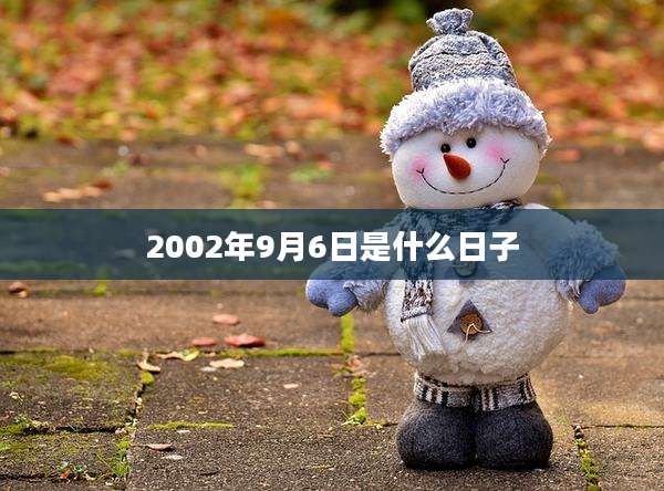 2002年9月6日是什么日子