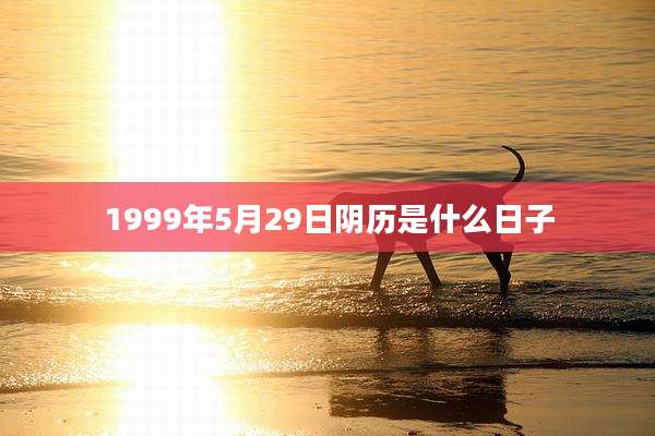 1999年5月29日阴历是什么日子