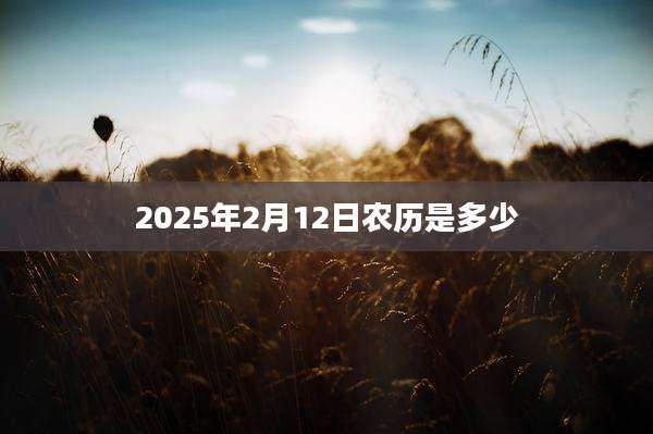 2025年2月12日农历是多少