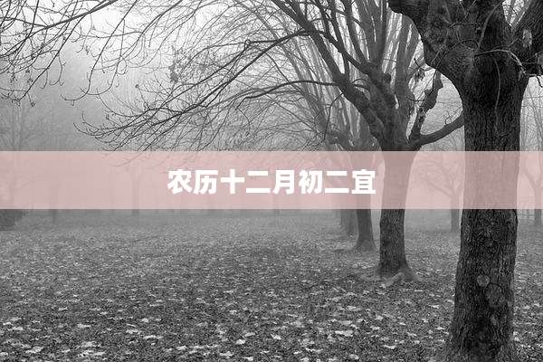 农历十二月初二宜