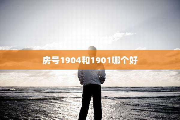 房号1904和1901哪个好
