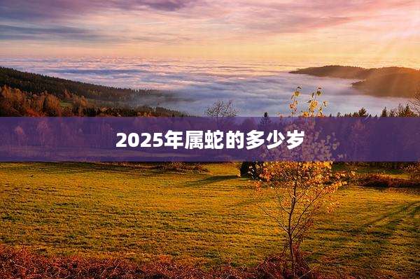 2025年属蛇的多少岁