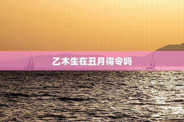 乙木生在丑月得令吗