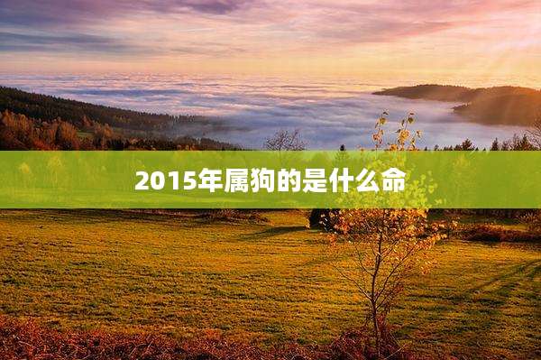2015年属狗的是什么命
