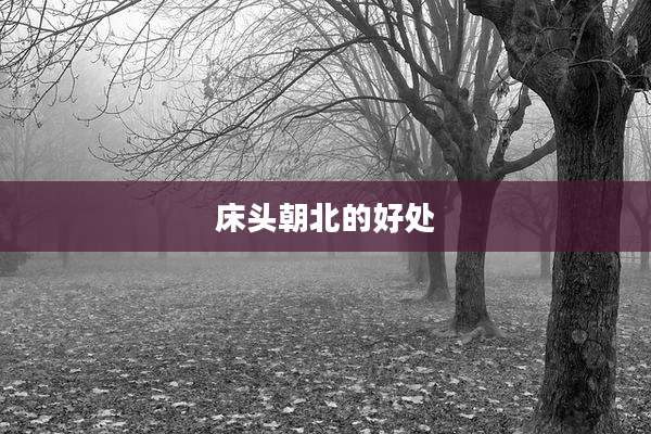 床头朝北的好处
