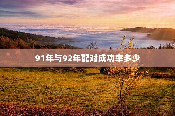 91年与92年配对成功率多少