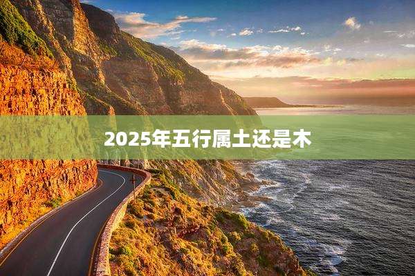 2025年五行属土还是木