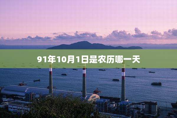 91年10月1日是农历哪一天