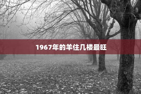 1967年的羊住几楼最旺