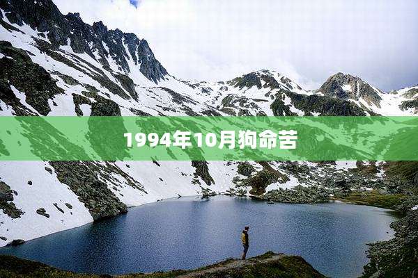 1994年10月狗命苦