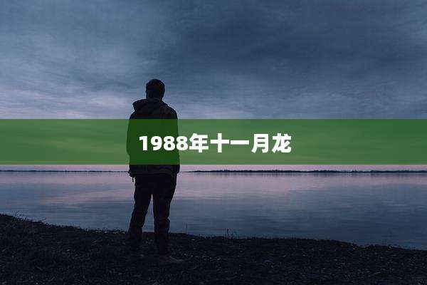 1988年十一月龙