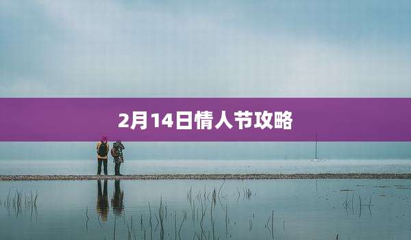 2月14日情人节攻略
