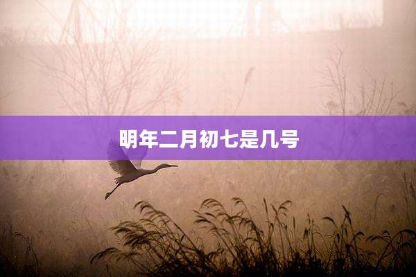 明年二月初七是几号