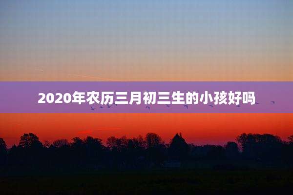 2020年农历三月初三生的小孩好吗