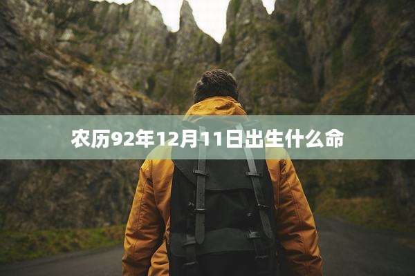 农历92年12月11日出生什么命