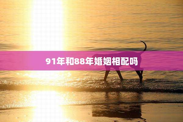 91年和88年婚姻相配吗