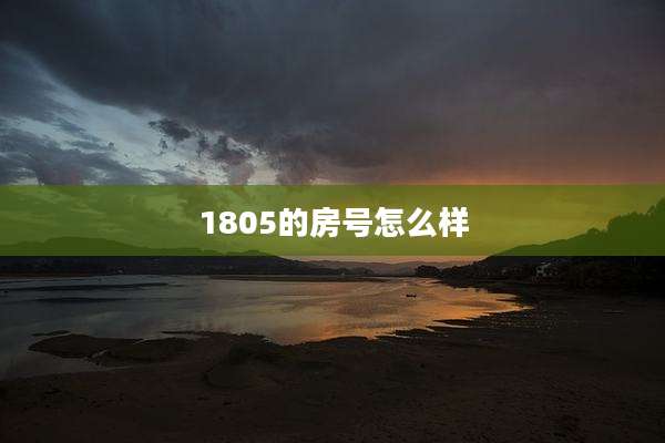 1805的房号怎么样