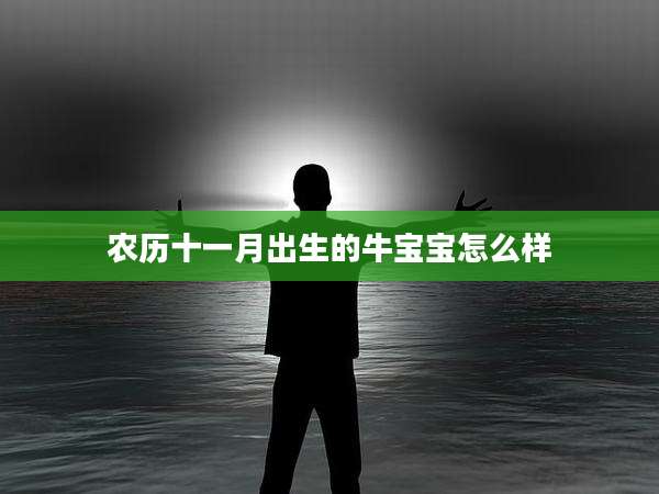农历十一月出生的牛宝宝怎么样