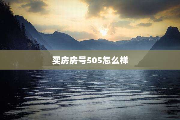 买房房号505怎么样